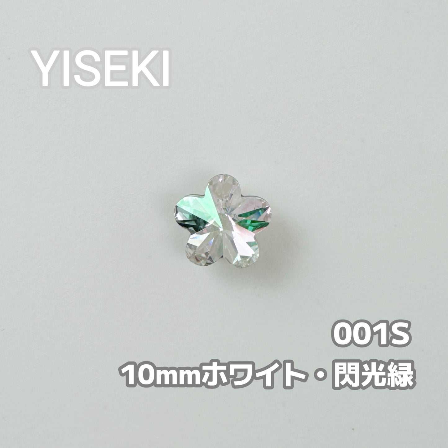梅の花 PlumBlossom