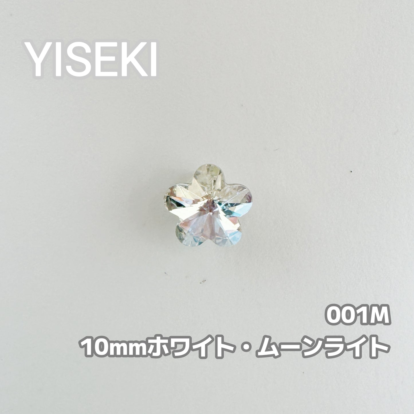 梅の花 PlumBlossom