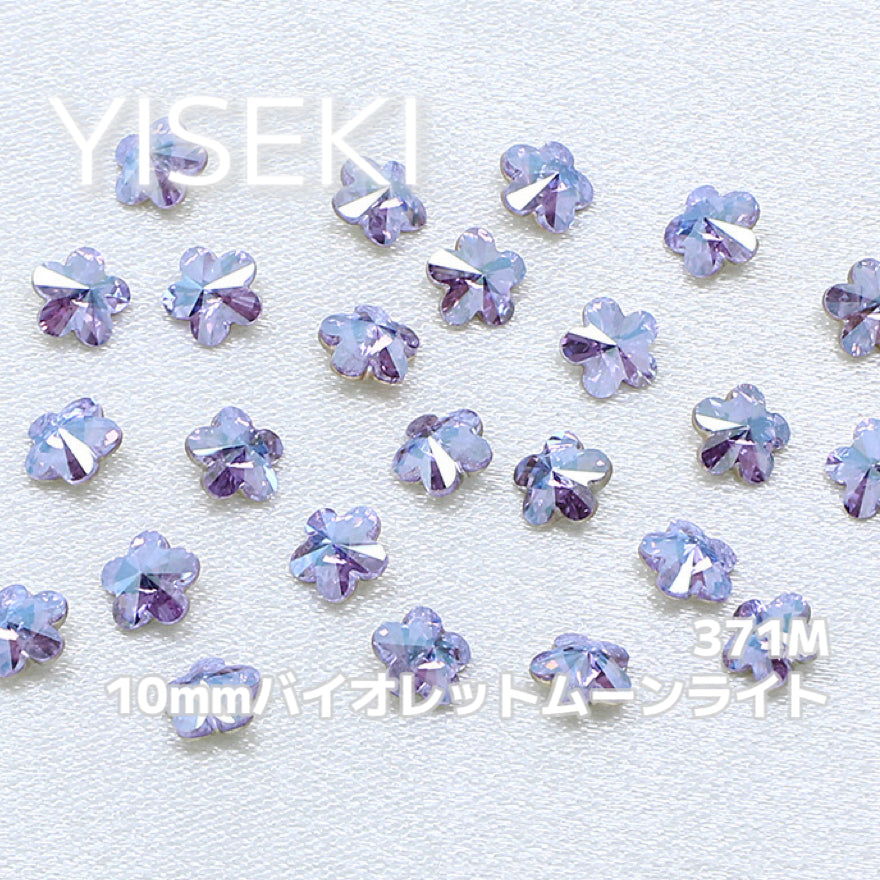 梅の花 PlumBlossom
